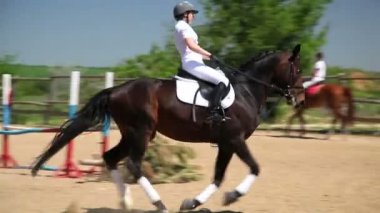 Atlı spor yarışmaları