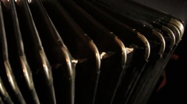 adam akordeon çalıyor