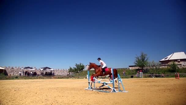 Konkursy w Sport jeździecki — Wideo stockowe