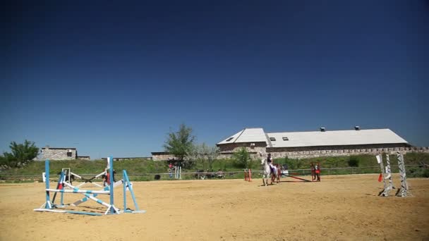 Competiciones en el deporte ecuestre — Vídeo de stock