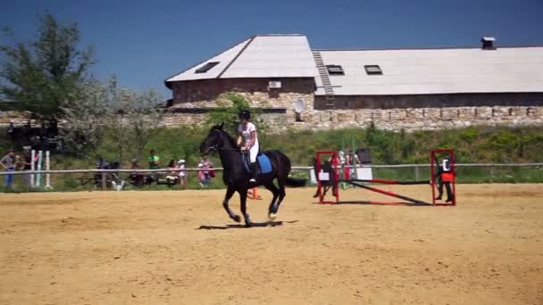 Competições no desporto equestre — Vídeo de Stock