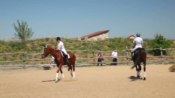 A lovas Sport versenyek — Stock videók