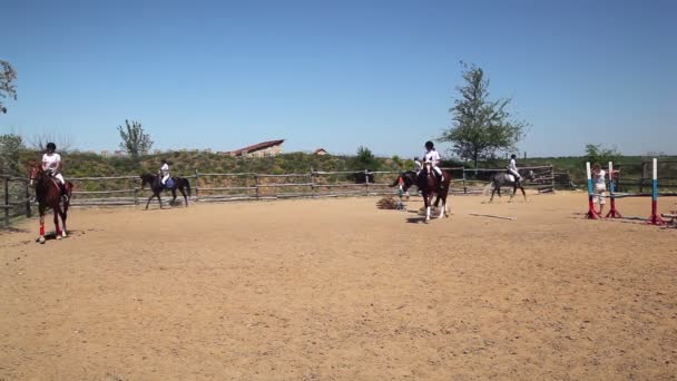 Competições no desporto equestre — Vídeo de Stock