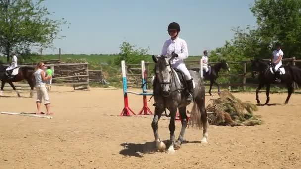 Competições no desporto equestre — Vídeo de Stock