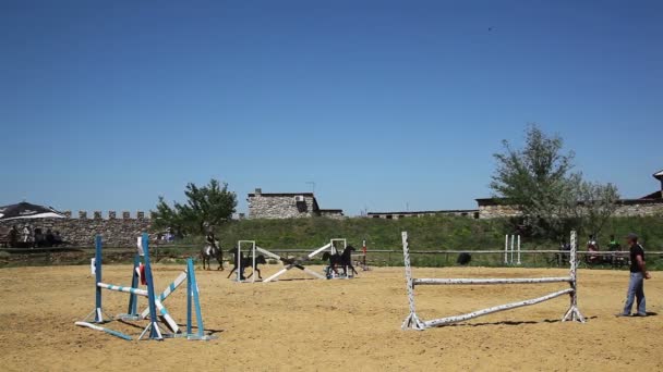 Competitions in equestrian Sport — Stock Video