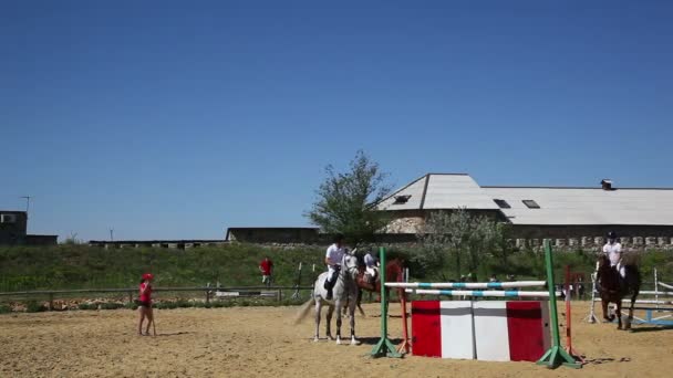 Wettbewerbe im Pferdesport — Stockvideo
