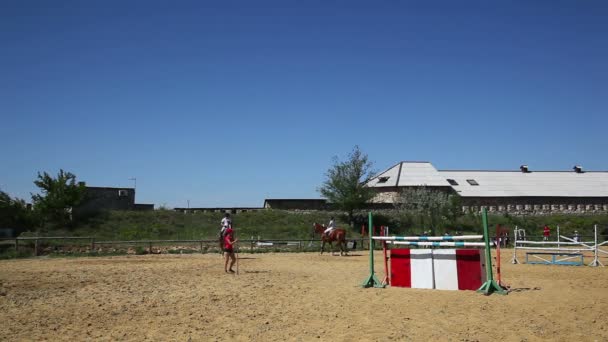 การแข่งขันกีฬาขี่ม้า — วีดีโอสต็อก