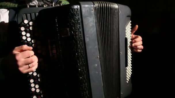 Man speelt de accordeon — Stockvideo