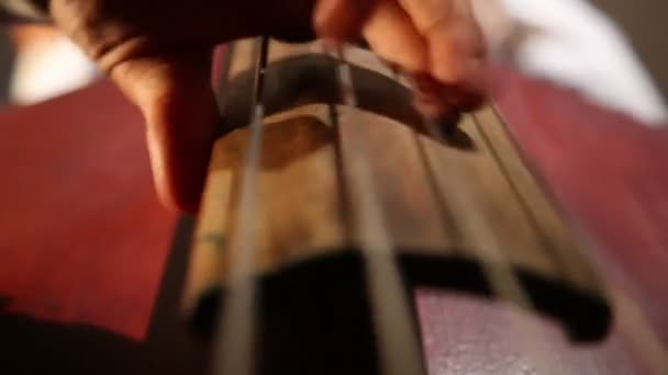 Жінка грає на контрабасі — стокове відео