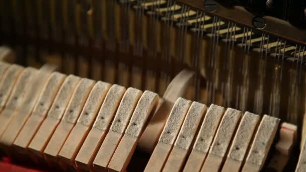 Hamers binnen een piano — Stockvideo