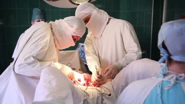 Lékařský tým provádějící operaci — Stock video
