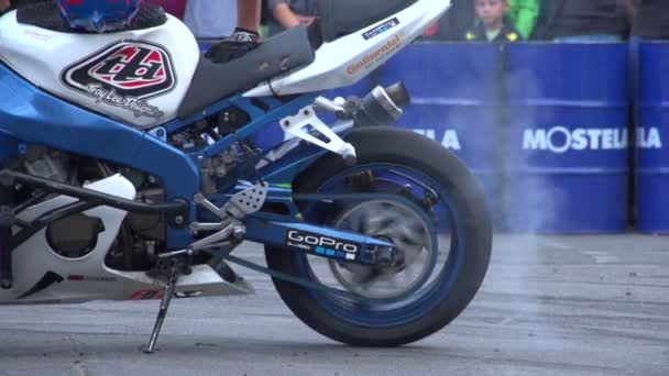 Rider voeren stunt — Stockvideo