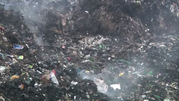 Verbrennung auf Müllkippe — Stockvideo