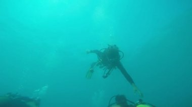 Skuba dalgıçları suyun altında