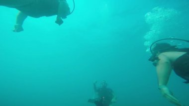 Skuba dalgıçları suyun altında