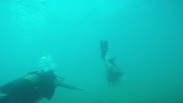 Duikers onder water — Stockvideo