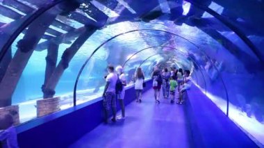 Akvaryum Antalya'da turist