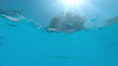 kadın bir yüzme havuzunda atlama