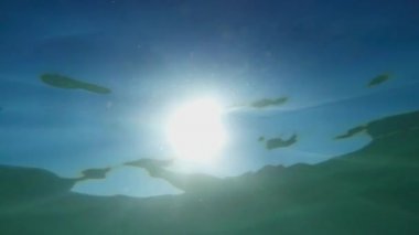 Güneş ışığı su havuzunda