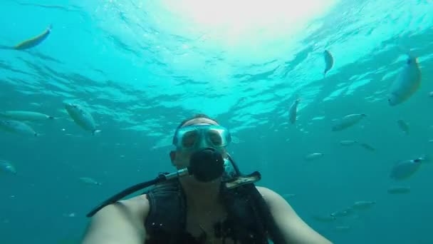 Potápěč pod vodou s rybami — Stock video