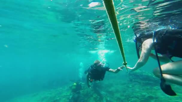 Potápěči pod vodou — Stock video