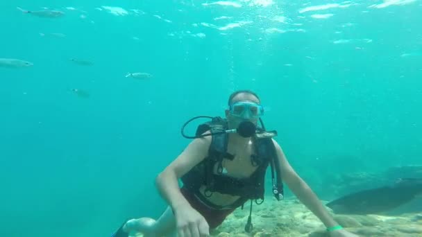Buceador bajo el agua con peces — Vídeos de Stock