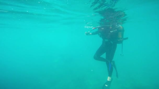 Scuba diver underwater — Stock Video