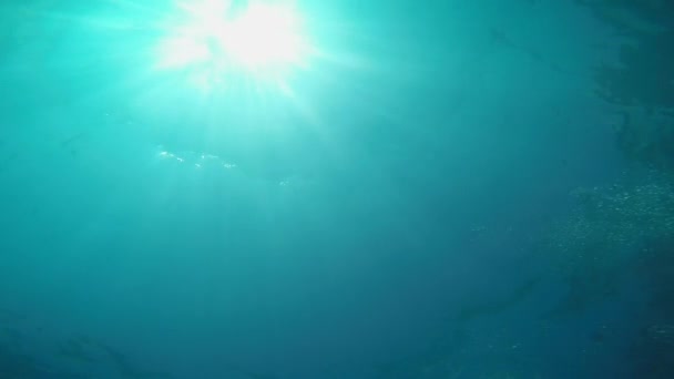 Солнечный свет под водой — стоковое видео