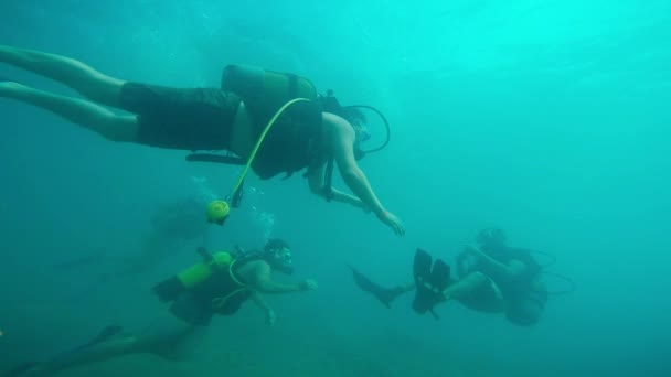 Scuba divers underwater — Stock Video