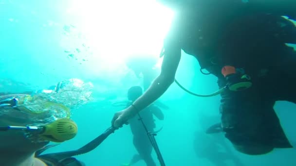 Scuba divers underwater — Stock Video