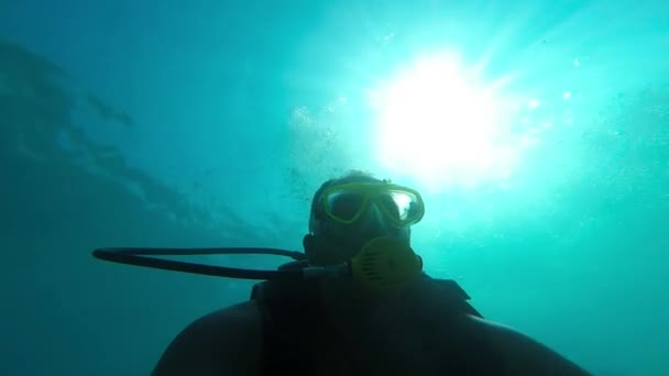 Аквалангіст під водою — стокове відео