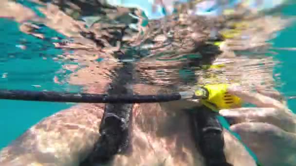 Buceador flotar en el agua — Vídeo de stock