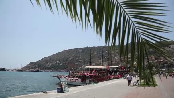 Bateaux de plaisance dans le port — Video