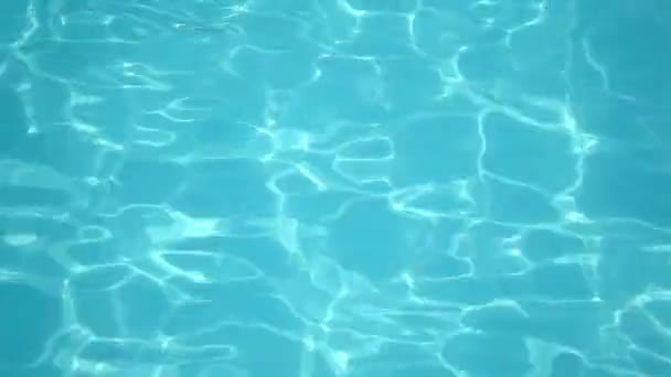 Surface calme de la piscine — Video