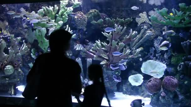 Turisti nell'acquario Antalya — Video Stock