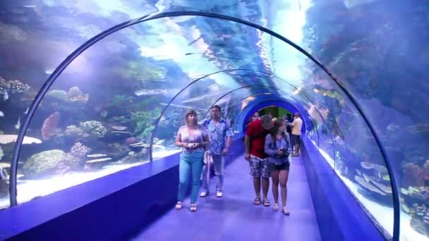 游客在水族馆安塔利亚 — 图库视频影像