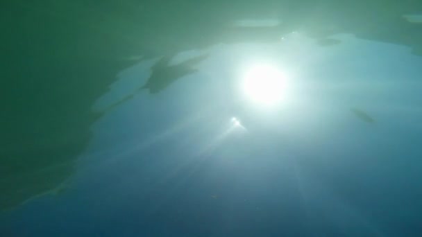 Luz solar na piscina de água — Vídeo de Stock