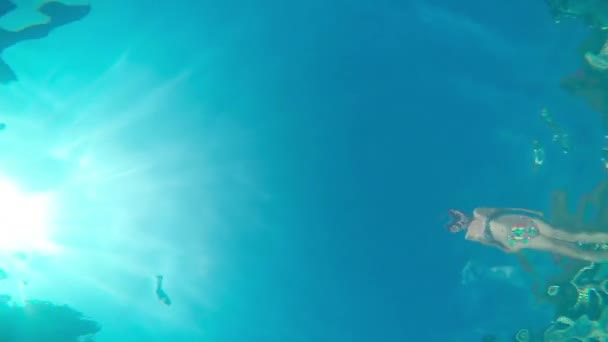 Woman jumping in a swimming pool — Stock Video