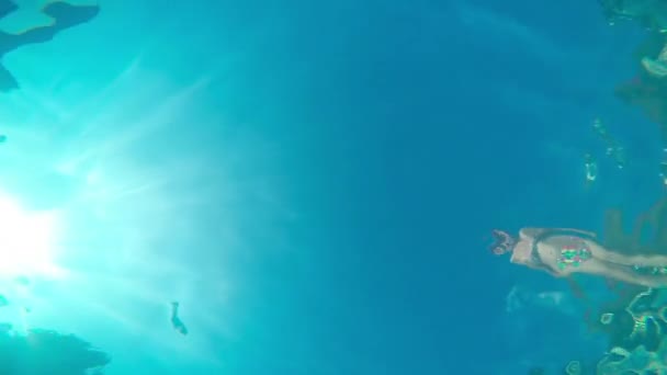 Mujer saltando en una piscina — Vídeos de Stock