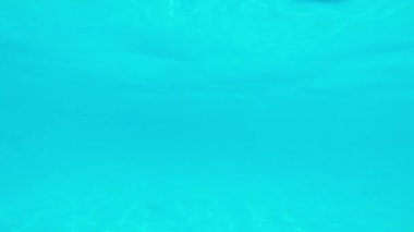 Yüzme havuzuna atlayan bir adam