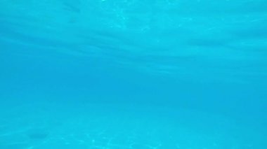 Yüzme havuzuna atlayan bir adam