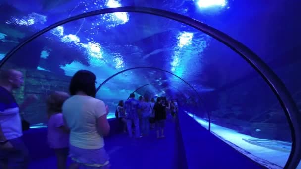 Turistas en el acuario Antalya — Vídeos de Stock