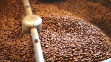 kahve çekirdekleri makinesi