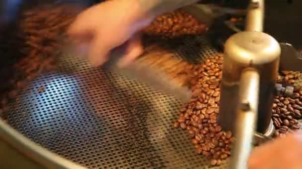 Granos de café en la máquina — Vídeo de stock