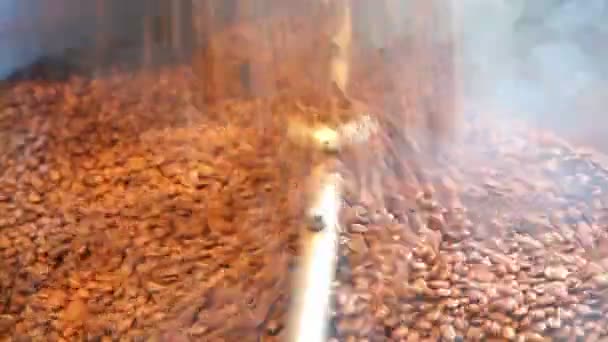 Koffie bonen in de machine — Stockvideo