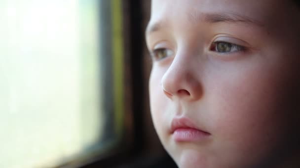 Child traveling in a train — Stock Video