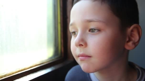 Child traveling in a train — Stock Video