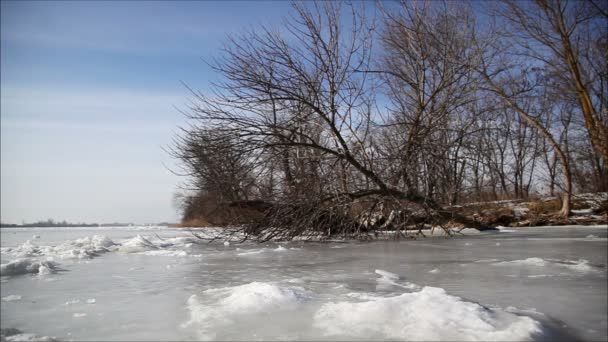 Hielo en el río en invierno — Vídeos de Stock