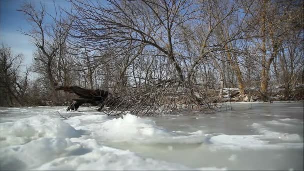 LED na řece v zimě — Stock video