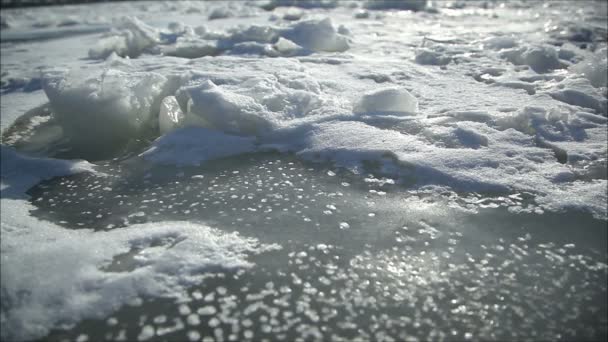 Πάγο στις όχθες ποταμού στο χειμώνα — Αρχείο Βίντεο